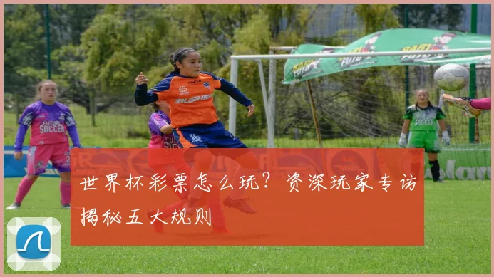世界杯彩票怎么玩?资深玩家专访揭秘五大规则