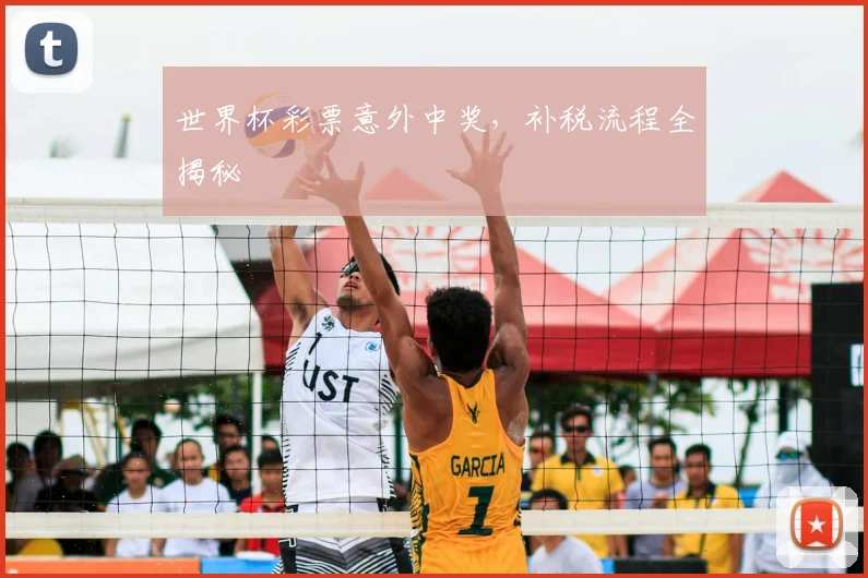 世界杯彩票意外中奖,补税流程全揭秘