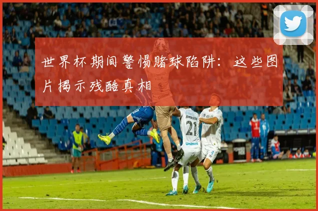 世界杯期间警惕赌球陷阱:这些图片揭示残酷真相