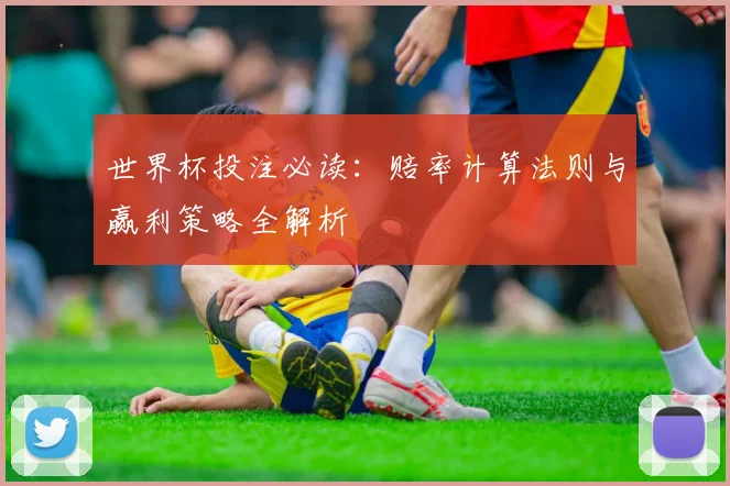 世界杯投注必读：赔率计算法则与赢利策略全解析